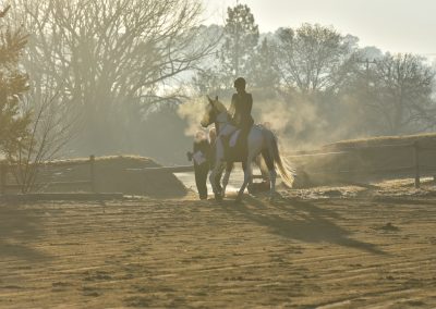 Training dressage show at ICB Kyalami, June 2019