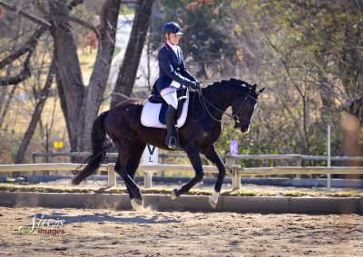 Training dressage show at ICB Kyalami, June 2019