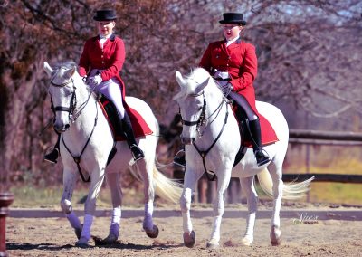 Training dressage show at ICB Kyalami, June 2019