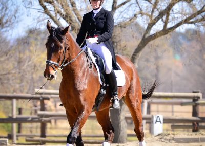 Training dressage show at ICB Kyalami, June 2019