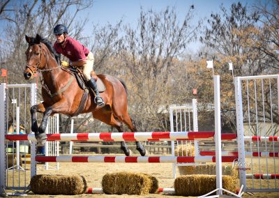 ICB training jumping show, July 2019