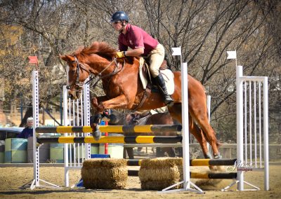 ICB training jumping show, July 2019