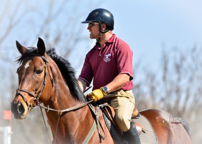 Training Show Jumping