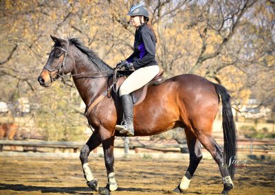 ICB training jumping show, July 2019