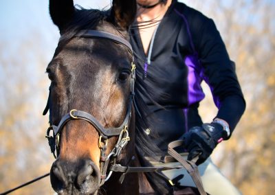 ICB training jumping show, July 2019