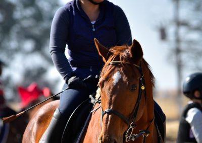 ICB training jumping show, July 2019