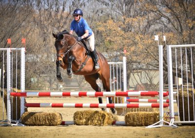 ICB training jumping show, July 2019