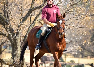 ICB training jumping show, July 2019