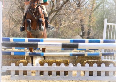 ICB training jumping show in Kyalami, August 2019