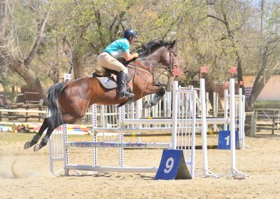 ICB training jumping show in Kyalami, August 2019