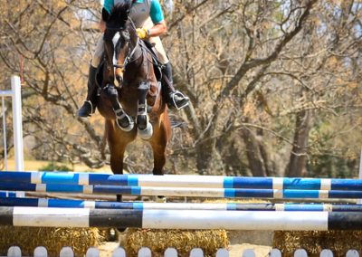 ICB training jumping show in Kyalami, August 2019