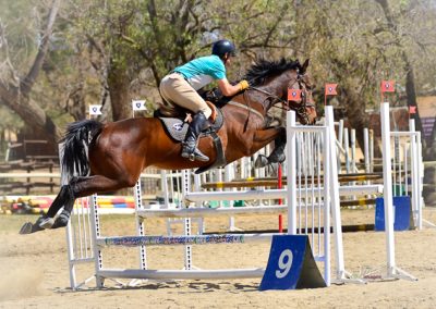 ICB training jumping show in Kyalami, August 2019