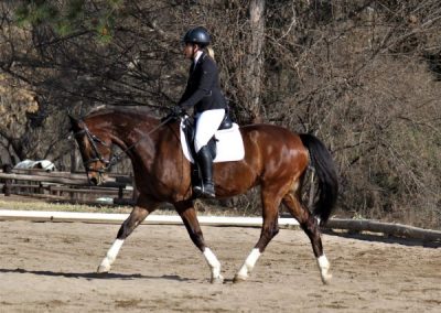 ICB training dressage show in Kyalami, August 2019