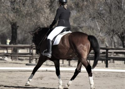 ICB training dressage show in Kyalami, August 2019