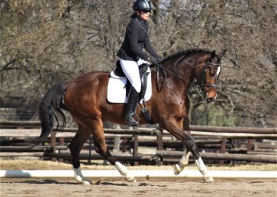 ICB training dressage show in Kyalami, August 2019