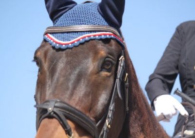 ICB training dressage show in Kyalami, August 2019