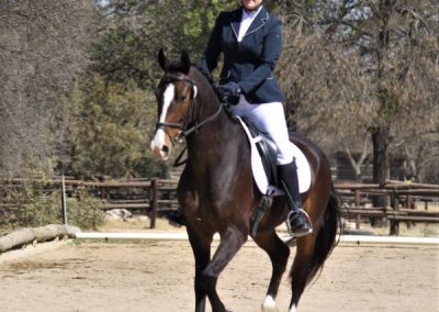 ICB training dressage show in Kyalami, August 2019