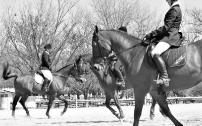 Dressage Training Show – Inanda Country Base August 2019