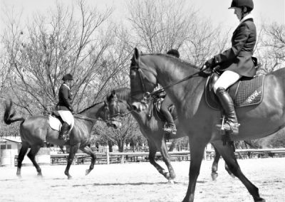 ICB training dressage show in Kyalami, August 2019